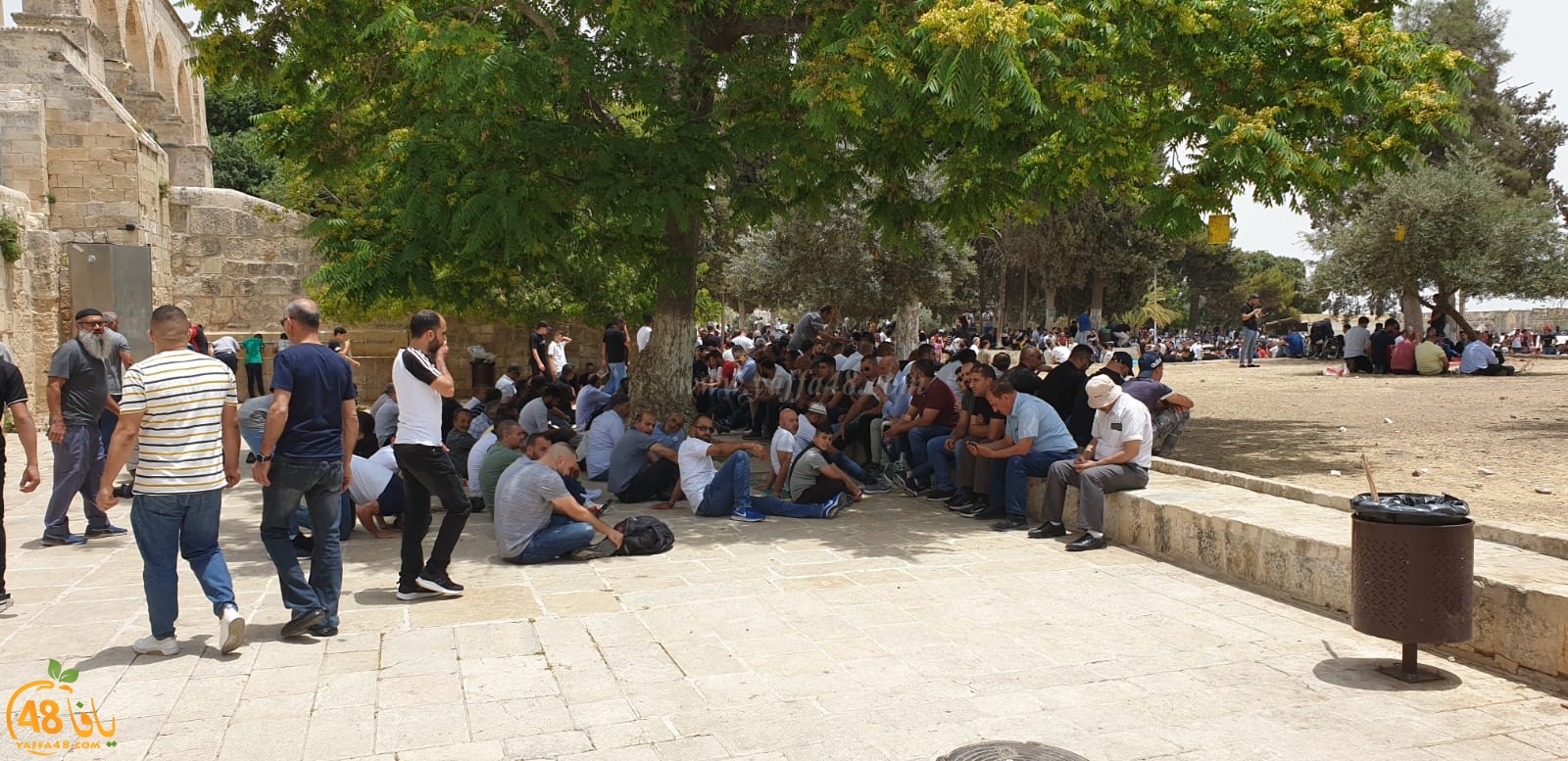 فيديو وصور من باحات المسجد الأقصى المبارك 